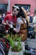 © Copyright by Bee Bop Rebels © by Bee Bop Rebels