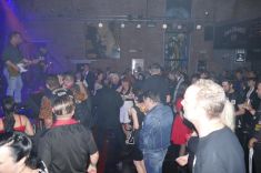 © Copyright by Bee Bop Rebels © by Bee Bop Rebels