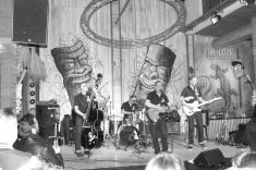 © Copyright by Bee Bop Rebels © by Bee Bop Rebels