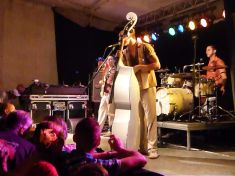 © Copyright by Bee Bop Rebels © by Bee Bop Rebels