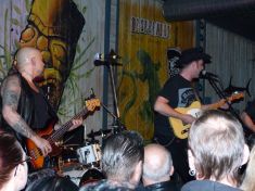 © Copyright by Bee Bop Rebels © by Bee Bop Rebels