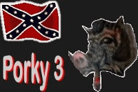 Bee Bop Rebels - Porky3